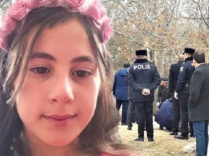 Qoyun cəsədinə Nərminin paltarından geyindirib, yandırdılar - Məhkəmədə şok