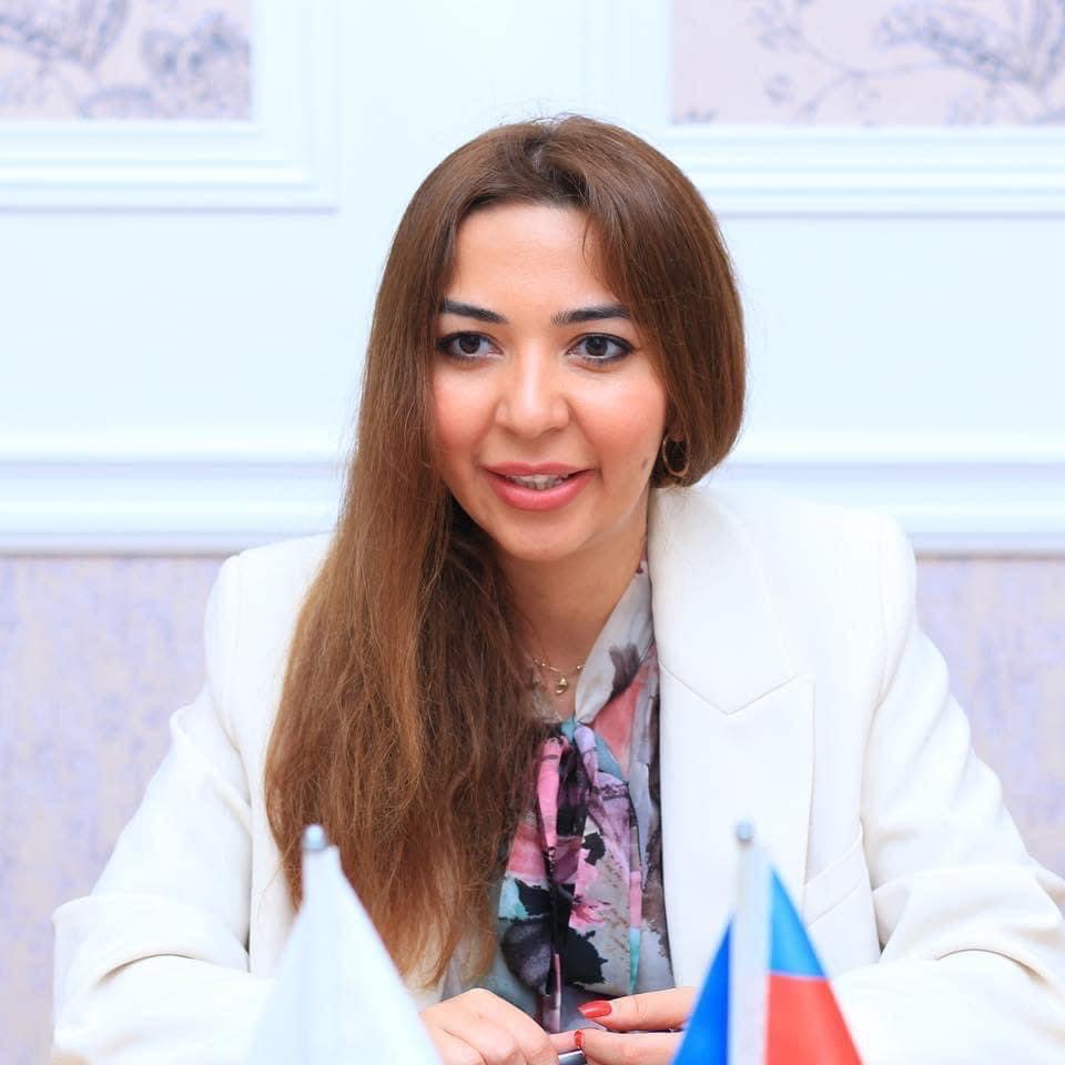 Nigar Bayramlının təşkilatı qeydiyyata alındı