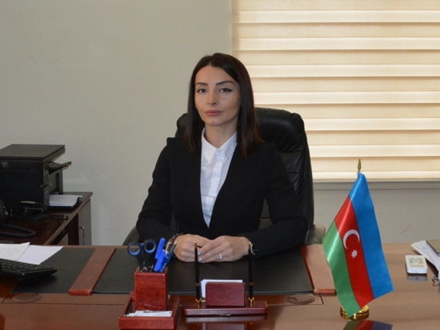 Leyla Abdullayeva Fransa parlamentinin deputatlarına səsləndi - FOTO