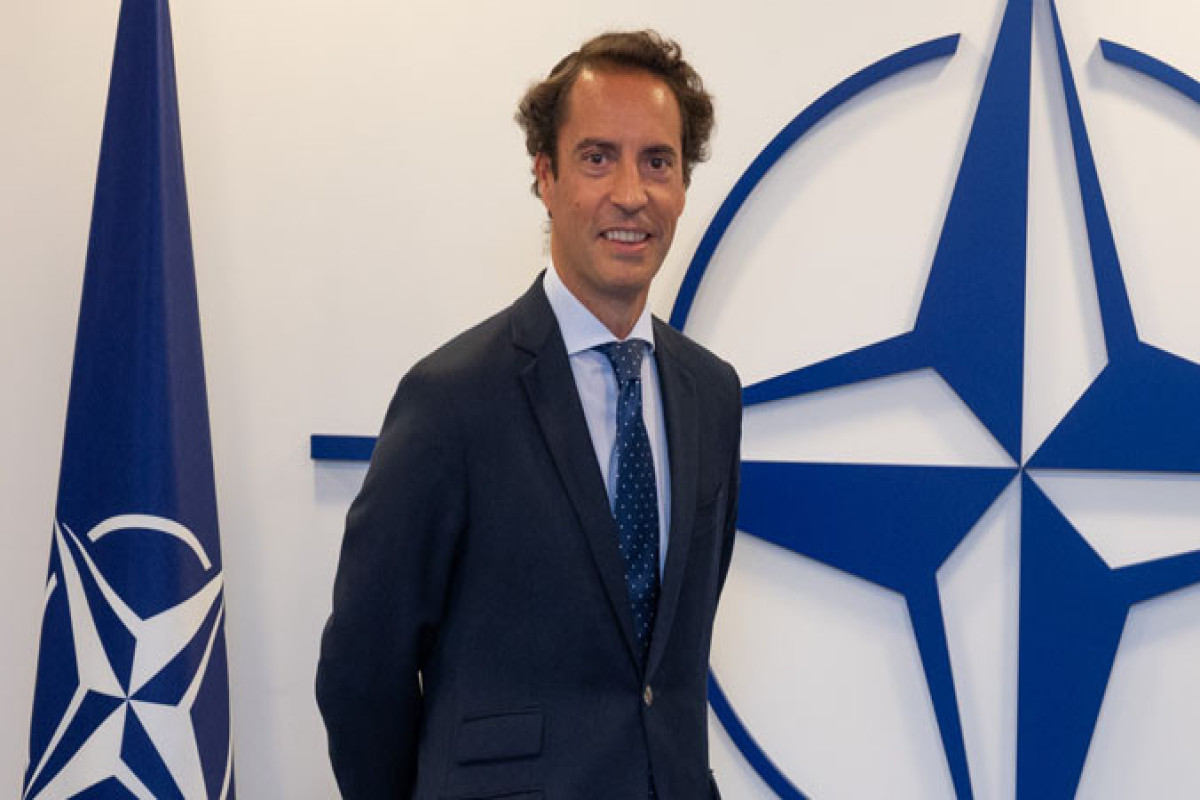 NATO Baş katibinin xüsusi nümayəndəsi Ermənistan XİN-lə regional məsələləri müzakirə edib