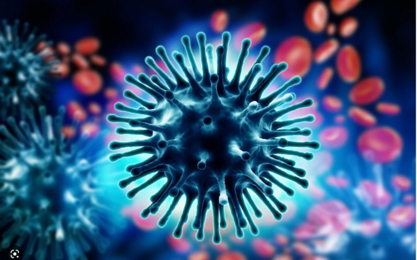 Səhiyyə Nazirliyi: "Azərbaycanda influenza virusu yayılıb"
