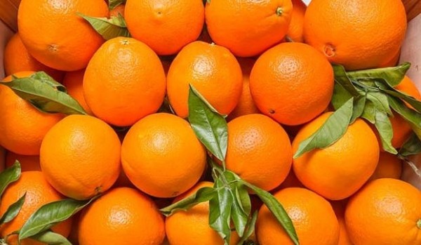 İrandan Azərbaycana 20 tona yaxın zərərli portağal gətirildi, hamısı məhv edildi
