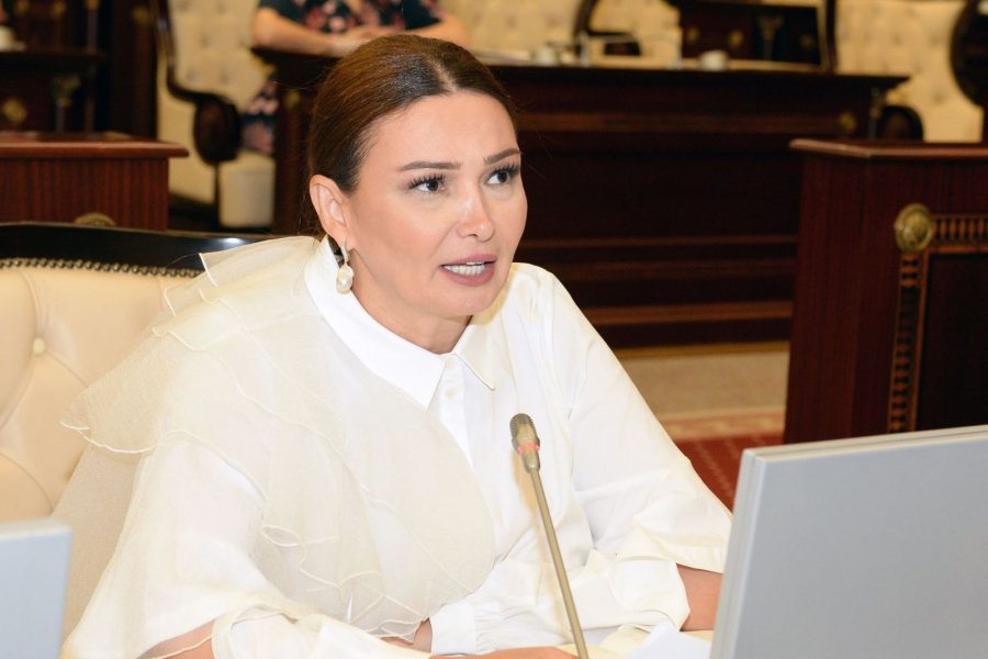 "Ramiz Novruzun bütün müalicəsi dövlətimizin nəzarətində idi"