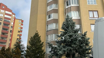 Mənzilin şüşələrini silən qadın yıxılaraq faciəvi şəkildə öldü - FOTO