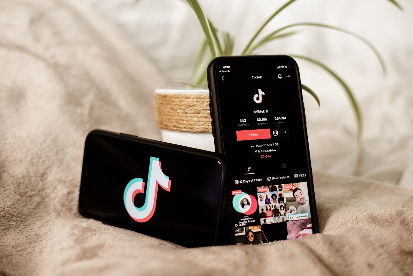 Bu ölkədə "TikTok"a görə petisiya yaradıldı