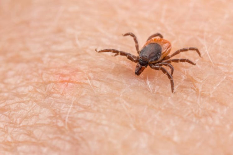 Dünya əhalisinə XƏBƏRDARLIQ: Yeni öldürücü virus yayılıb