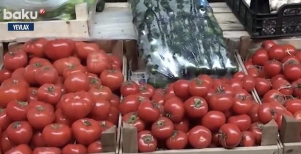 Yevlax bazarında pomidorun qiyməti “əl yandırır” - VİDEO