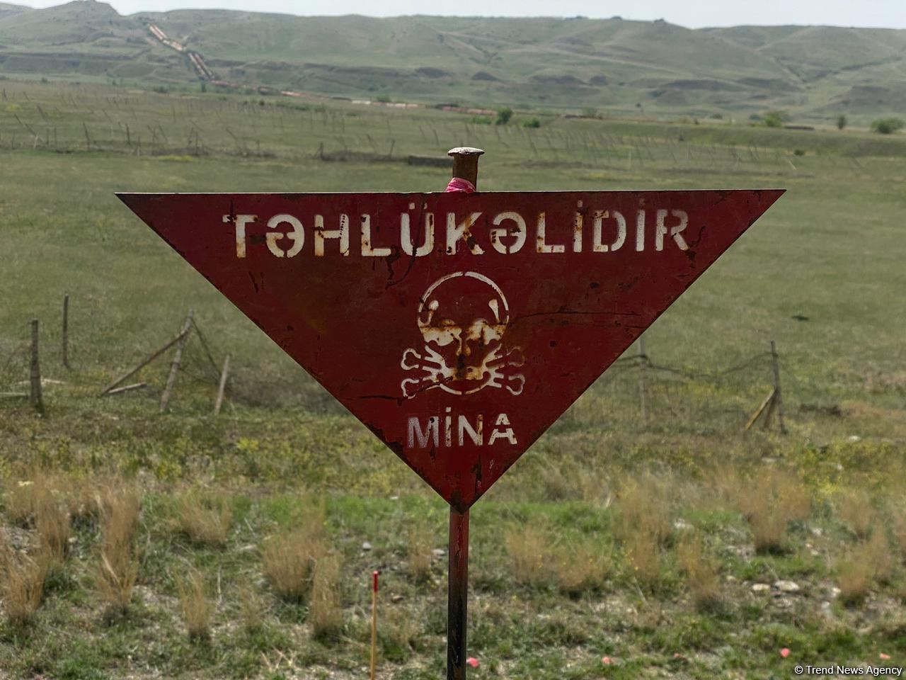 ANAMA minaların daha çox hansı ərazilərə basdırıldığını açıqladı