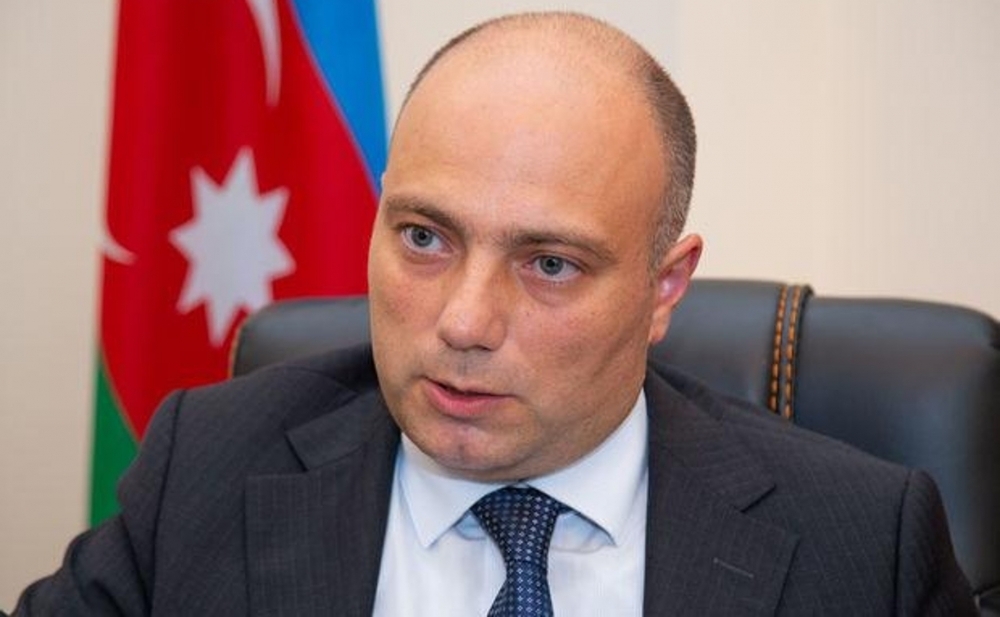 Anar Kərimova yeni vəzifə verildi