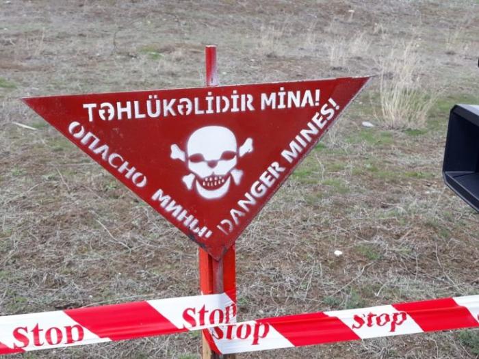 Azad edilən ərazilərdə daha 31 mina aşkarlanıb