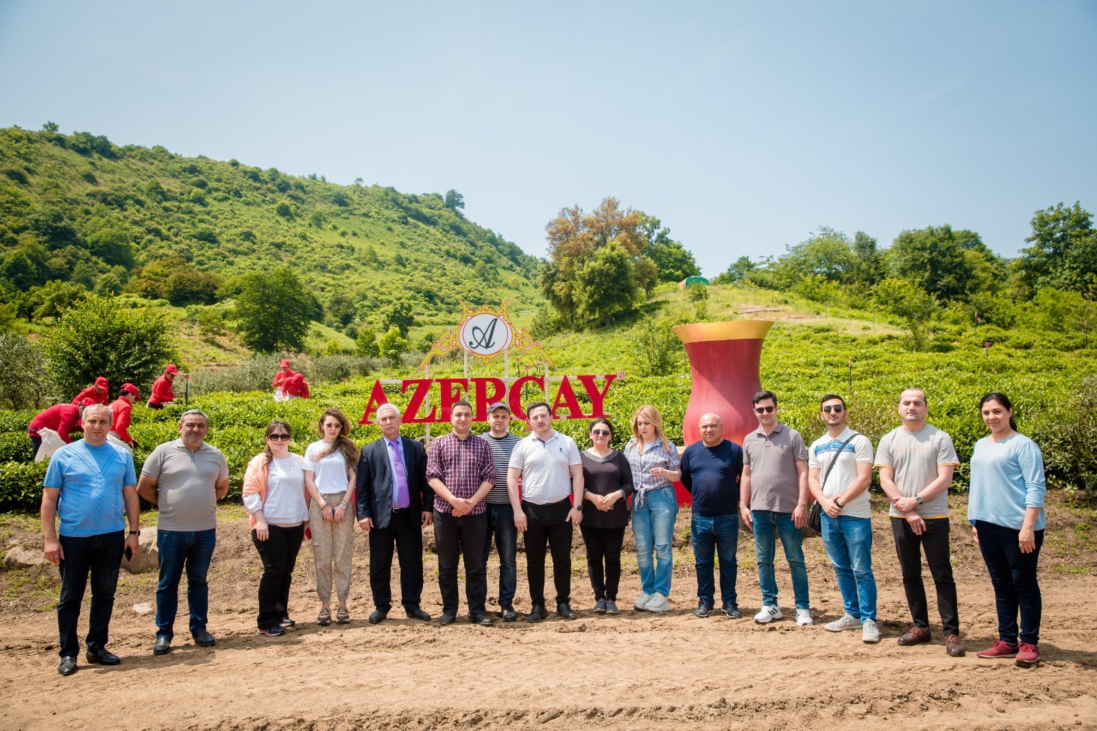 “Azerçay” KİV nümayəndələri üçün çay plantasiyalarına media-tur təşkil etdi - FOTOLAR