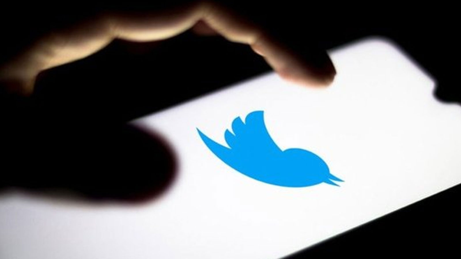 "Twitter"də daha bir ayrılıq: Təhlükəsizlik departamentinin rəhbəri də istefa verdi