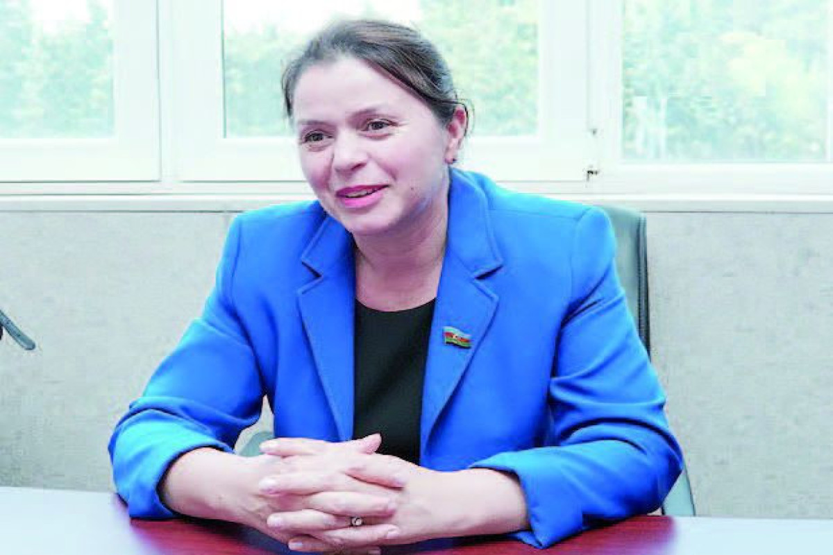 "Qoca qadına olan polisin kobud rəftarı qəbuledilməzdir" - Gədəbəyin deputatı