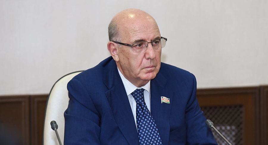 "Hansısa şəxsin ölkəyə özü üçün gətirdiyi dərmana say məhdudiyyəti qoymaq doğru deyil"