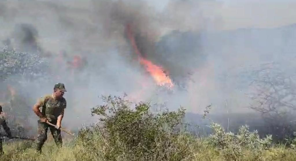 Xızıdakı yanğının təfərrüatları AÇIQLANDI