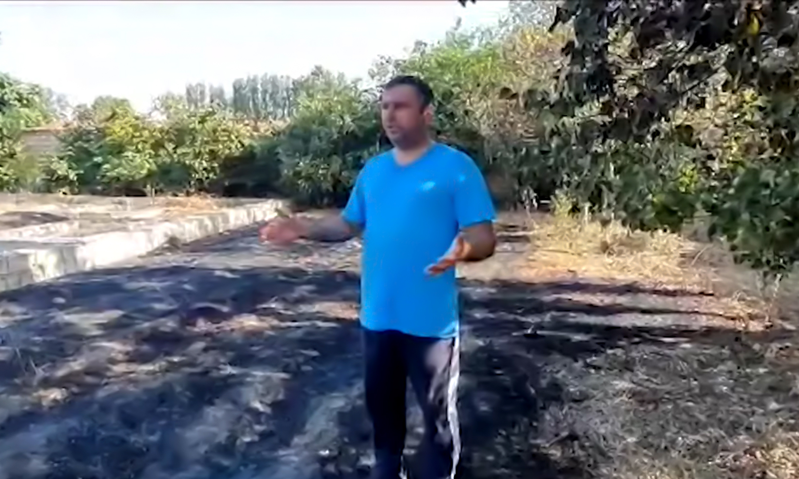 Şabranda qəsdən yanğın törədən şəxs müəyyən edilib - VİDEO