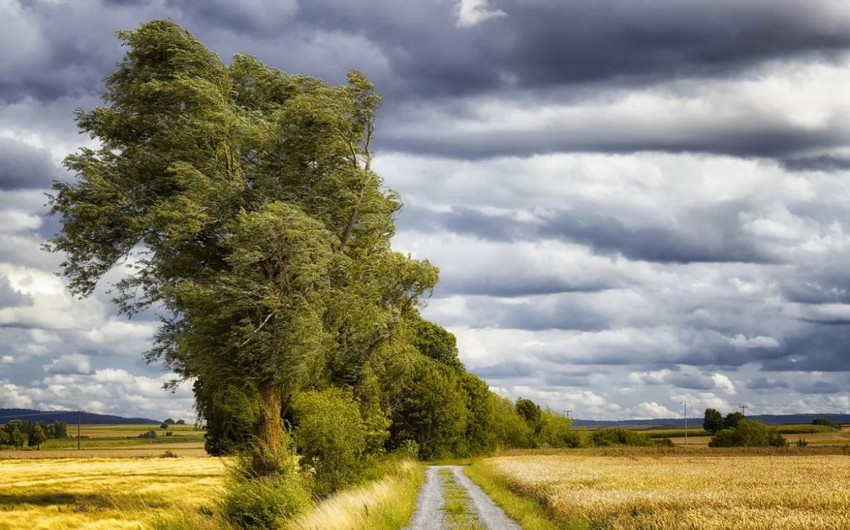 Bu tarixdə dənizə girmək təhlükəlidir - Nazirlikdən xəbərdarlıq