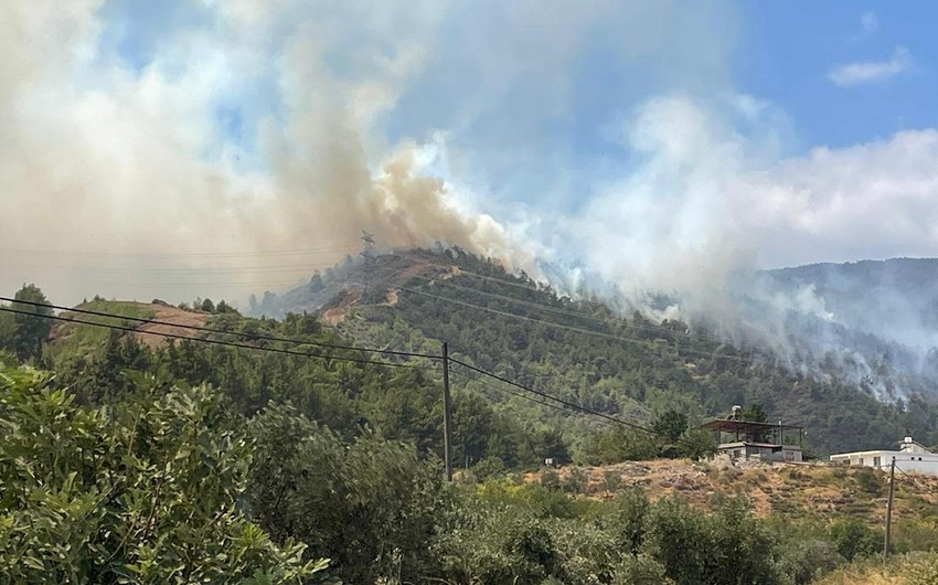 Hatayda meşə yanğını: Helikopterlər cəlb edilib