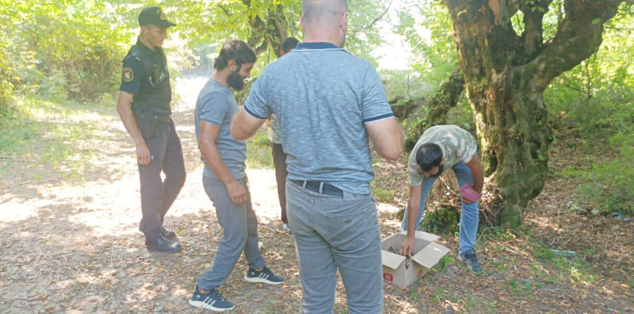 Azərbaycanda kirpi ovlayanlar saxlanıldı