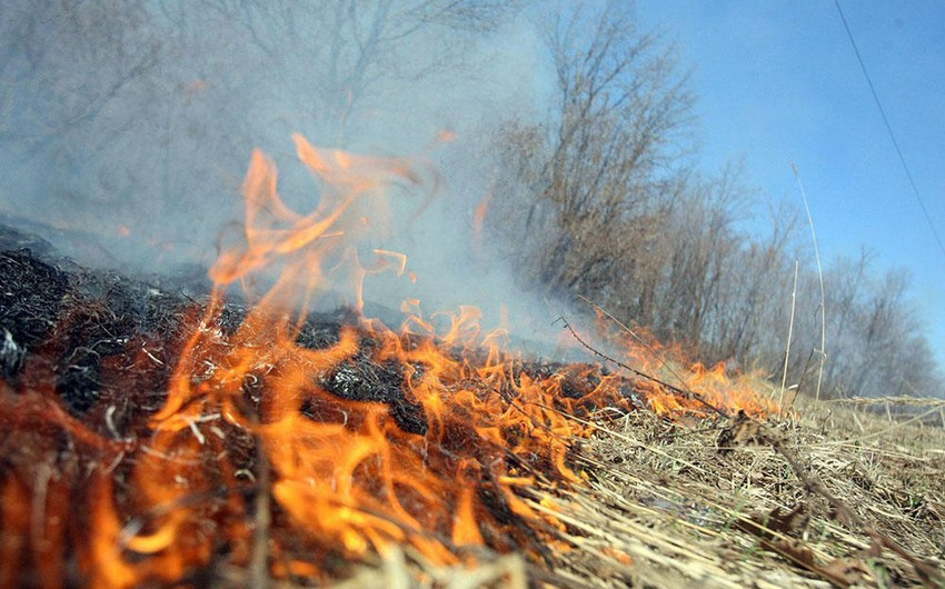 Hövsanda dənizə yaxın açıq ərazidəki yanğın söndürülüb