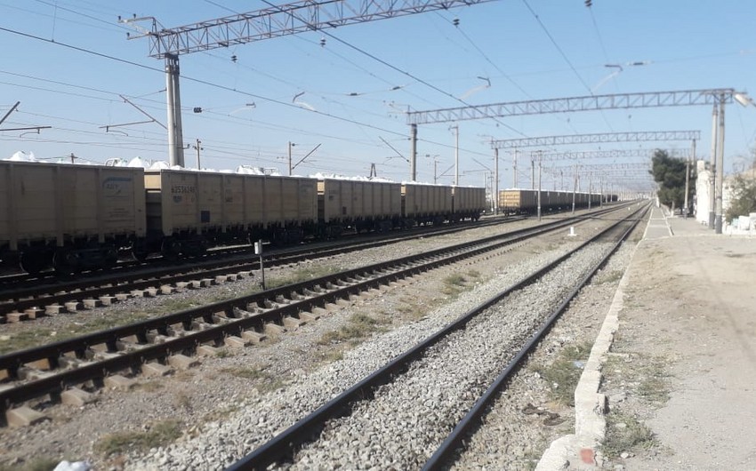 Salyanda qatar qadını vuraraq öldürdü