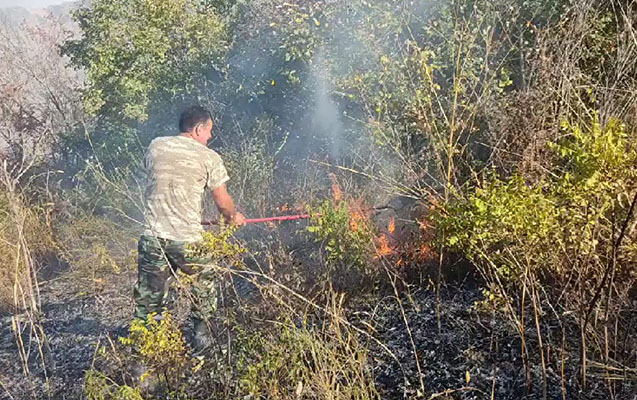 Şamaxıdakı yanğın tam söndürüldü
