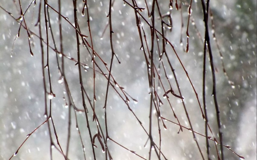 Şənbə gününün hava proqnozu: Bəzi yerlərdə yağış yağacaq, şimşək çaxacaq