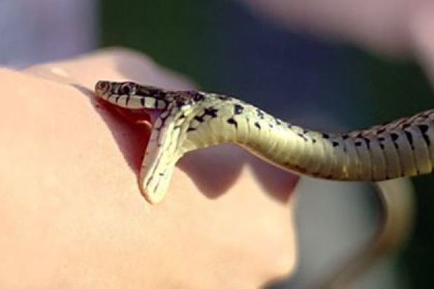 Lerikdə 13 yaşlı qızı ilan sancdı