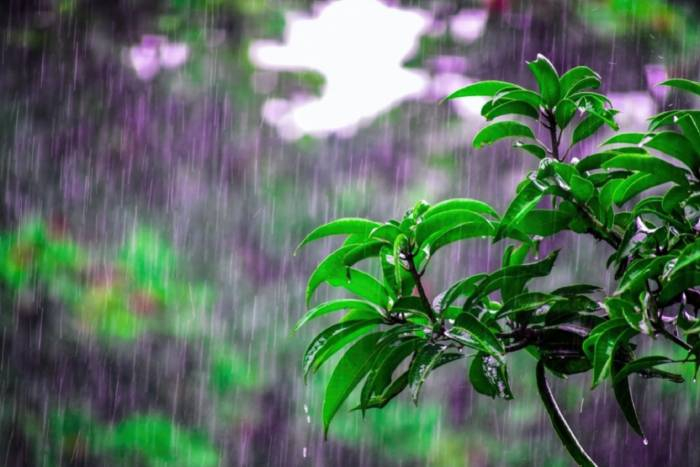 Sabah Bakıda leysan gözlənilir