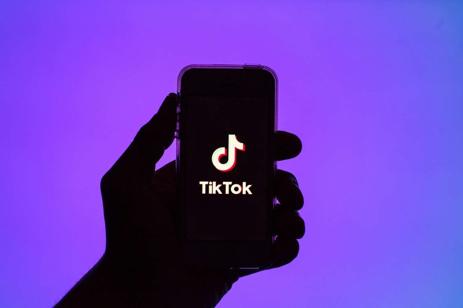 Bu ölkədə də "TikTok" bloklanır