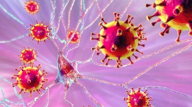 Hindistanda Nipah virusu həyəcanı: İki nəfər öldü