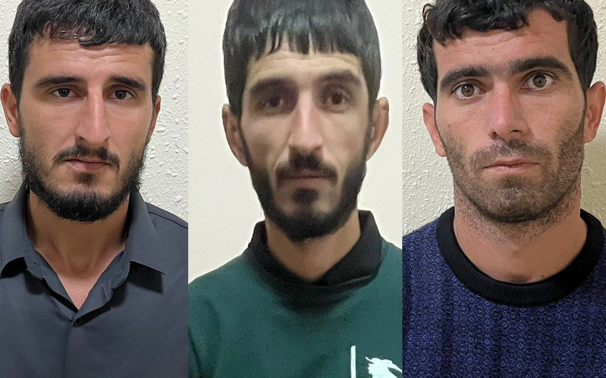 Qubada silsilə oğurluqlar edən dəstə üzvləri saxlanıldı