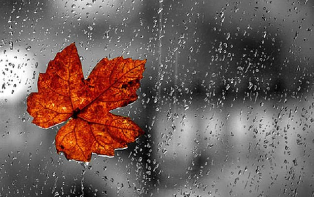 Sabah leysan yağacaq