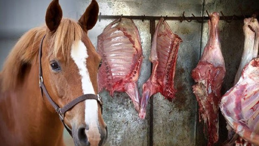 At ətini necə ayırd etmək olar? - MÜHÜM DETALLAR