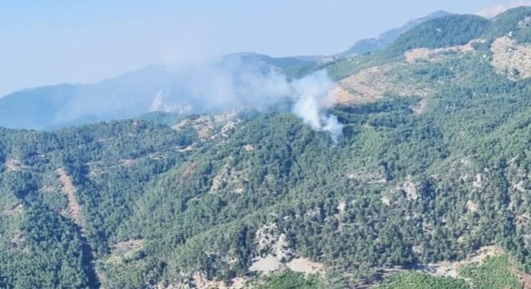 Türkiyənin bu əyalətlərində güclü meşə yanğını baş verdi