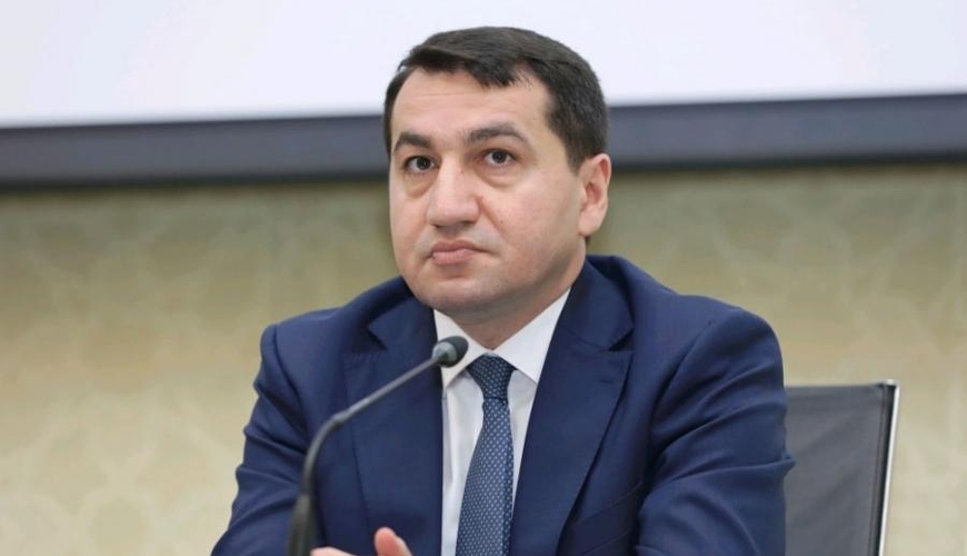 Hikmət Hacıyev: “İnsanlarla yanaşı, vəhşi heyvanlar da minaların qurbanıdır” - VİDEO