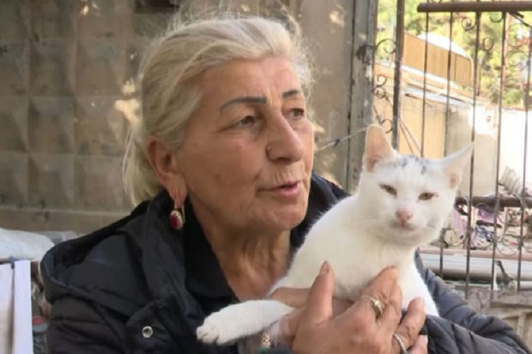 Bakıda 63 yaşlı qadın dörd pişiyi ilə birgə küçədə yaşayır - VİDEO