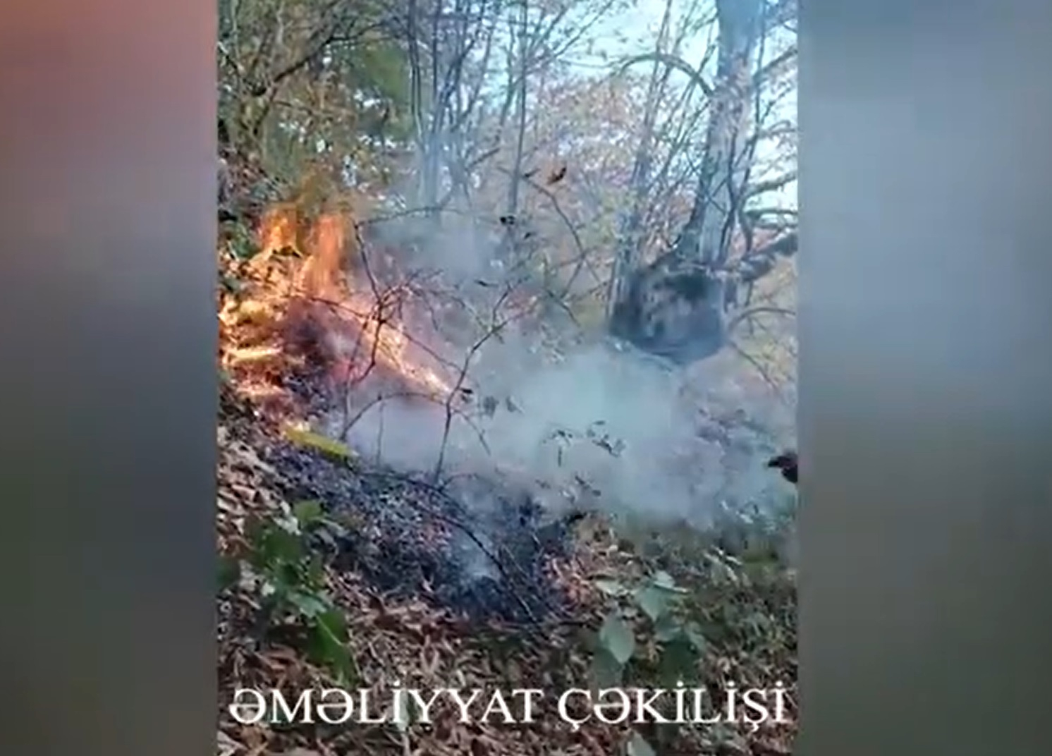 Şahdağ Milli Parkında yanğın olub - VİDEO