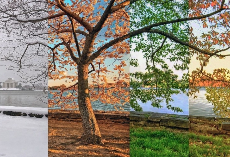 2024-cü ildə fəsillərin Azərbaycana daxilolma vaxtları AÇIQLANDI