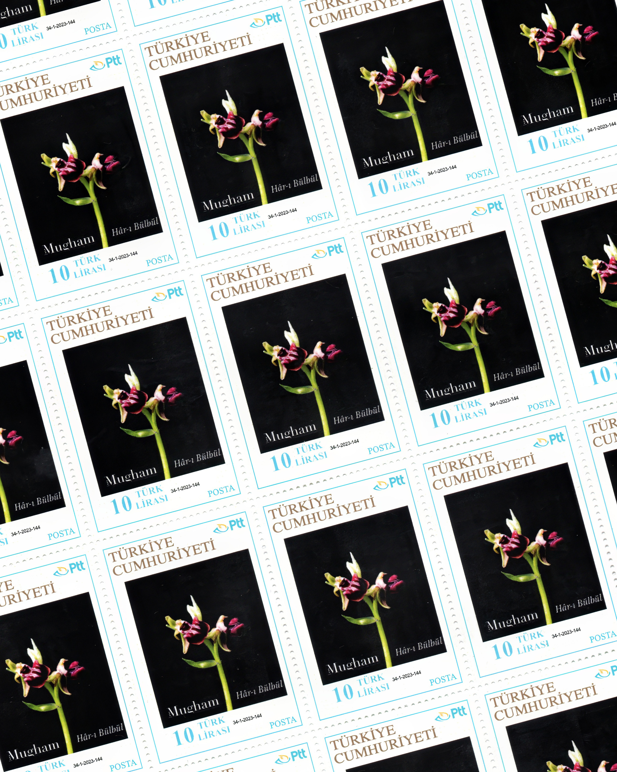 Mugham parfumdan Zəfər Günü hədiyyəsi