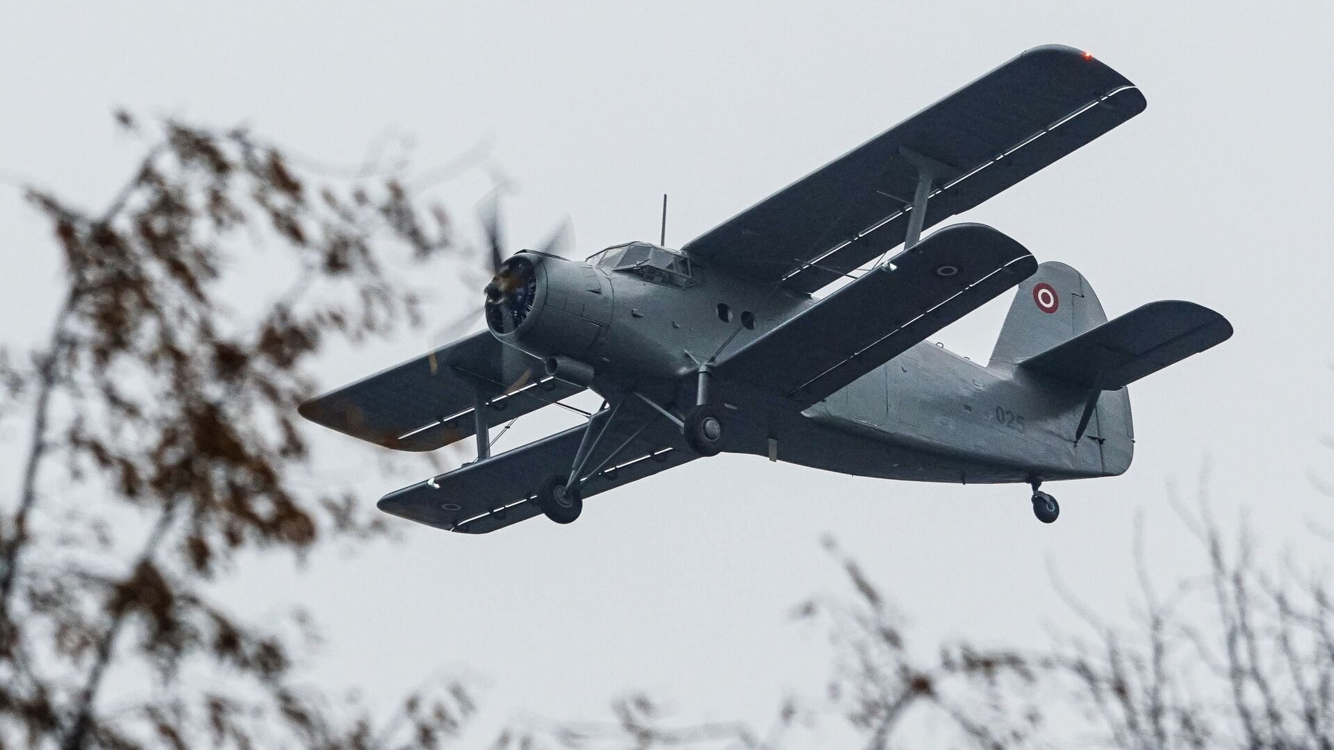 Rusiyada "An-2" təyyarəsi radarlardan itib