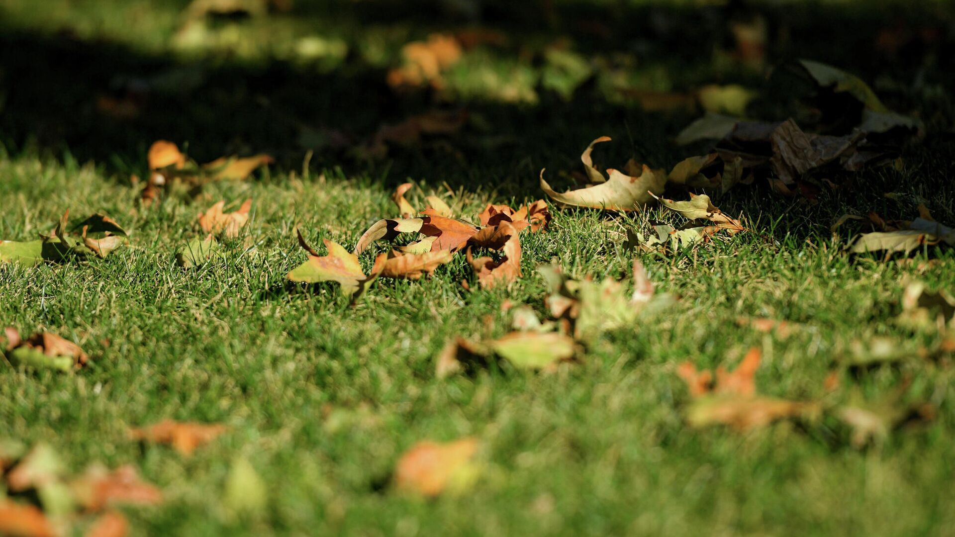 Sabah hava necə olacaq? - PROQNOZ