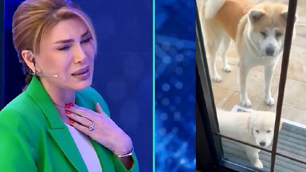 Xoşqədəm Hidayətqızı: "Tokionu tapmağa bizə kömək edin"