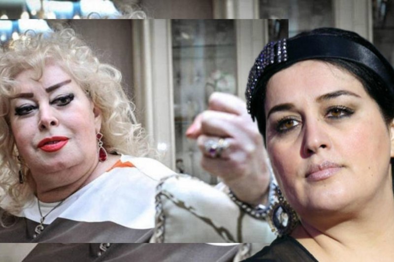 Elza İlhamə Quliyeva haqda danışdı: "Hanı o maşınlar, evlər, qızıllar, kürklər?