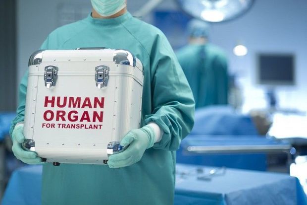 Sosial şəbəkələrdə orqan nəqli üçün pul toplayanlara Agentlikdən REAKSİYA