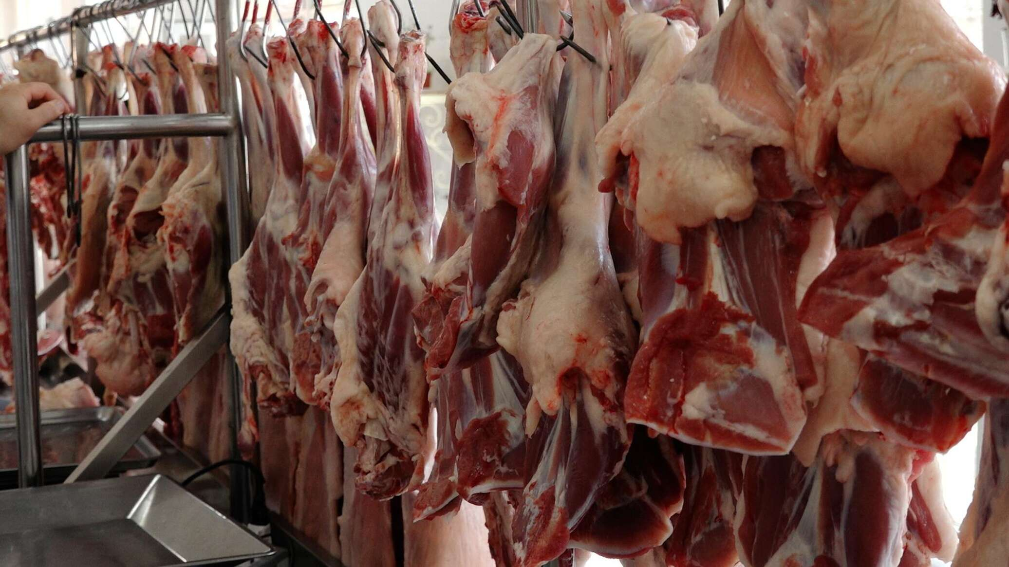 Bakıda piştaxtalara düzülən 10 manatlıq ət zərərlidirmi? - VİDEO