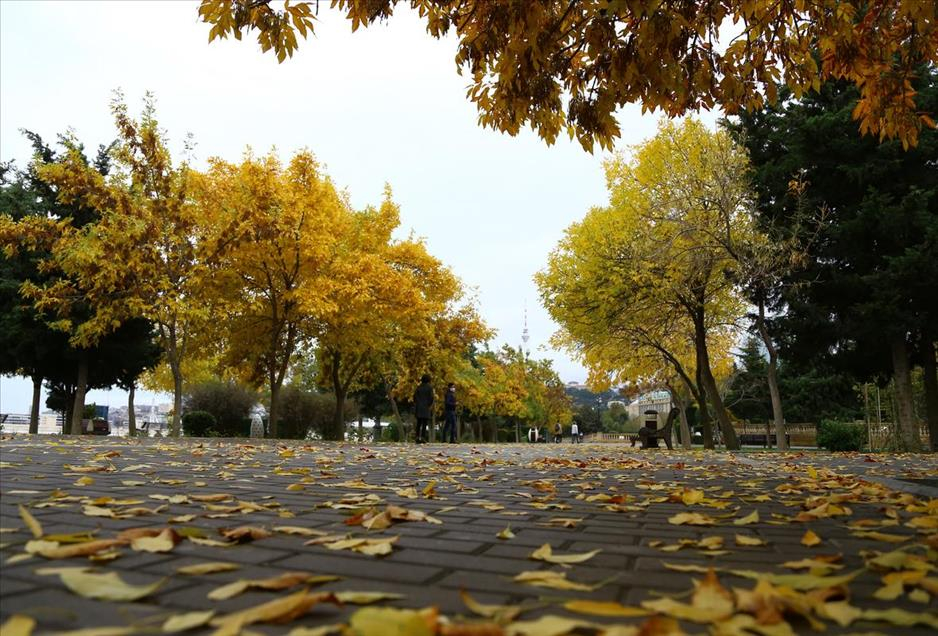 Sabah 19° isti olacaq - Hava proqnozu