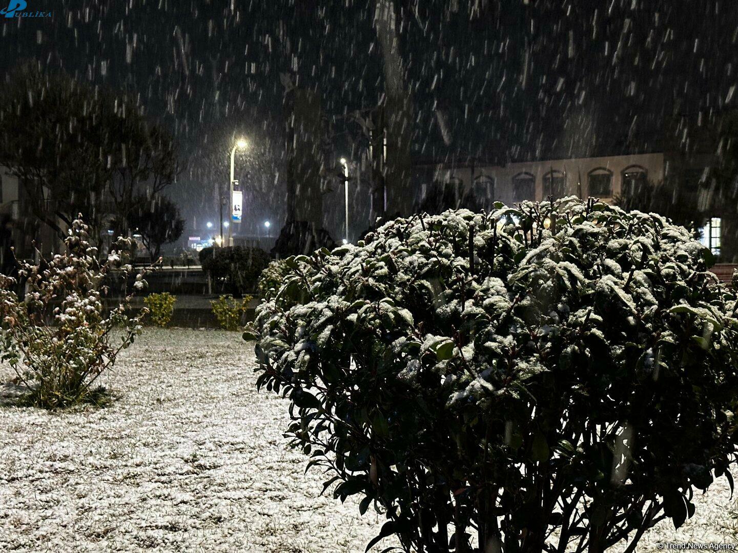 Zəngilanın əksər yerləri ağ örpəyə büründü