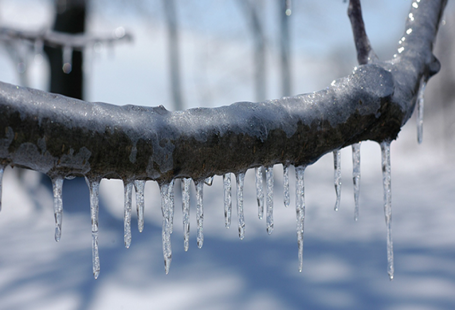 Bakıda gecə 2, rayonlarda 15 dərəcə ŞAXTA OLACAQ