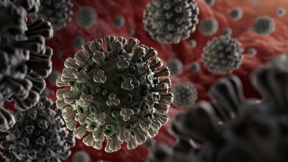 Dünya üçün yeni təhlükə: 100% öldürən virus